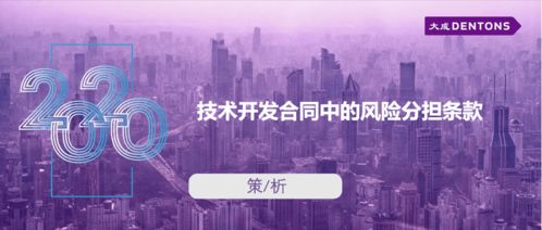 技術(shù)開發(fā)合同中的風(fēng)險分擔(dān)條款